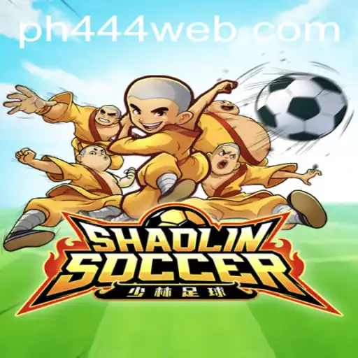 Unleashing the Spirit of Shaolin in ShaolinSoccer